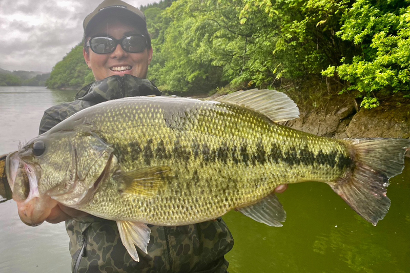 愛してやまないRevoltage-ll S65UL/村上祥吾 - FRESH WATER バス釣り