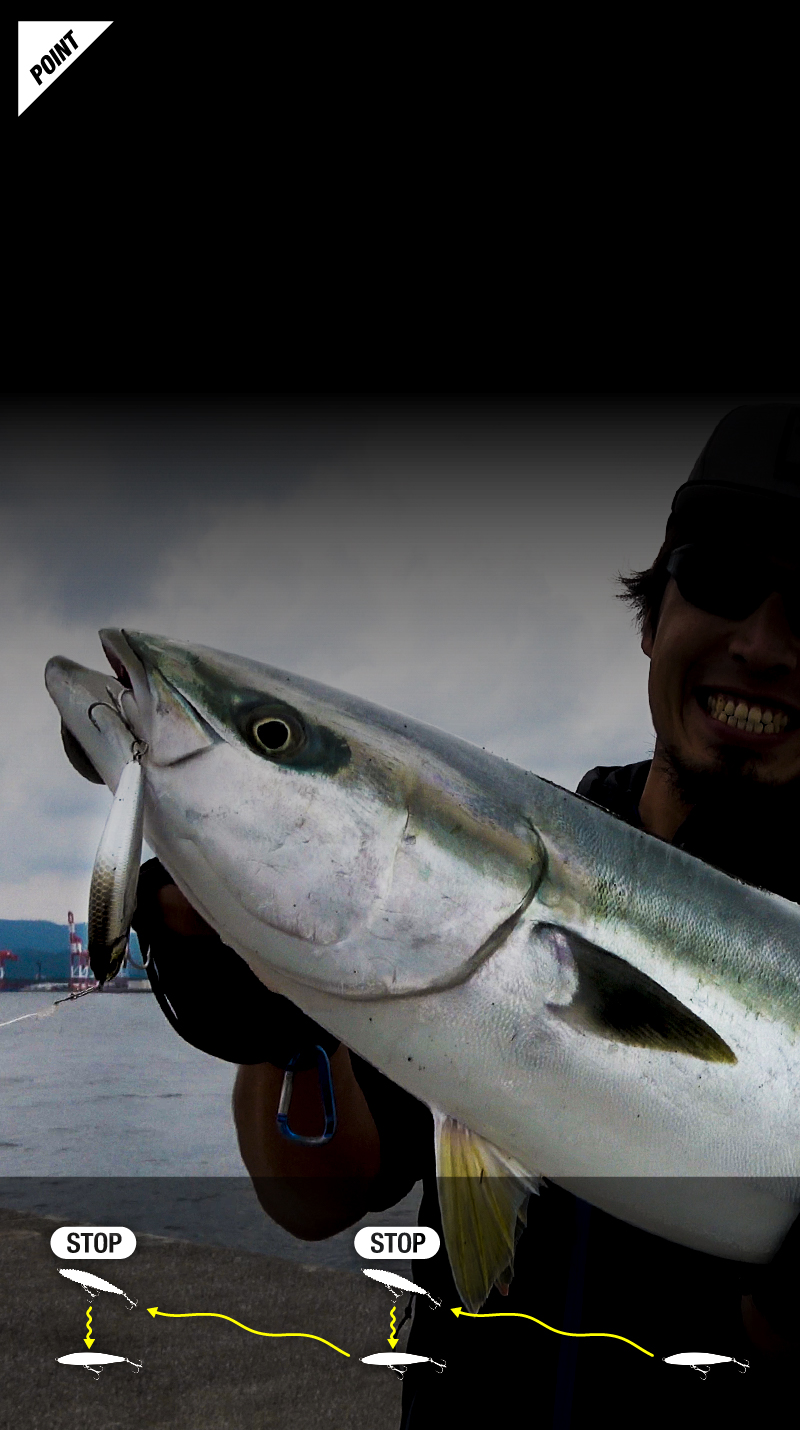 BIGBACKER FALLTRICK - SALT WATER 海釣り｜JACKALL｜ジャッカル｜ルアー