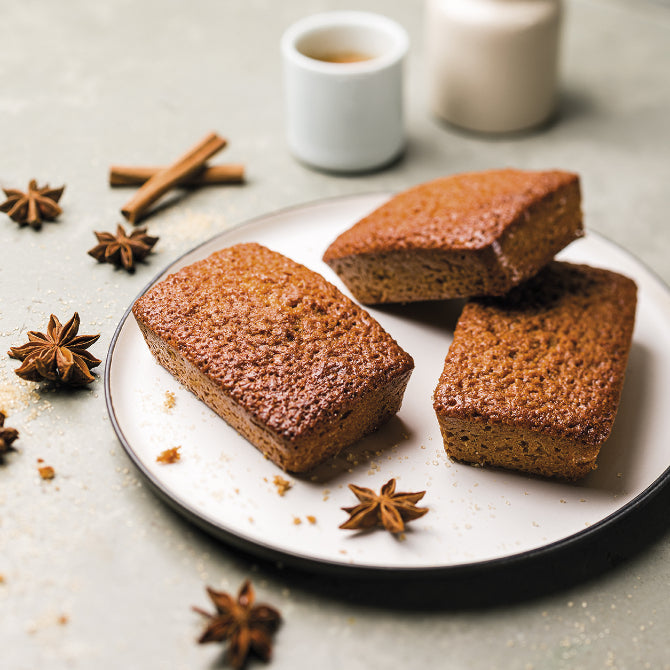 Flexipans Large Rectangle Cakes 21 Forms | Professional Molds – JB