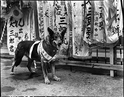 日本カメラ博物館 JCII Camera Museum：JTB旧蔵ストックフォトから見る