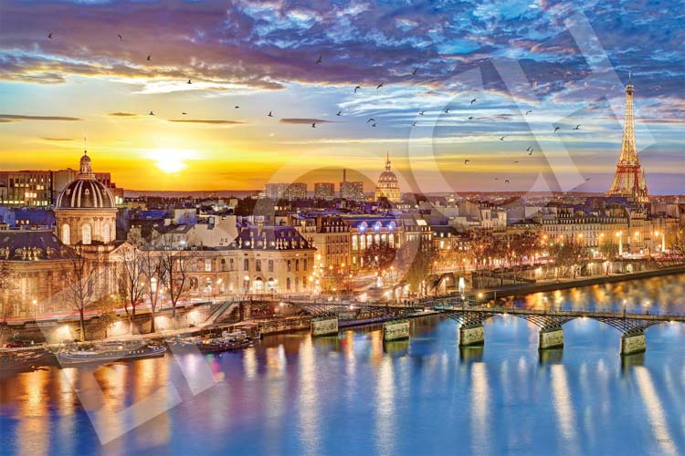 ルイージ・バッシーニ Luigi Bassini セーヌ川 油絵 製法承認シール