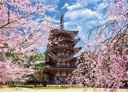 商品数6000点以上！国内最大級ジグソーパズル・パネル専門店