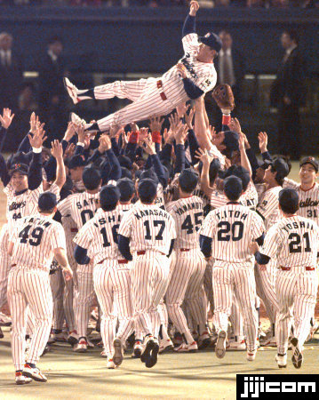 優勝を決め胴上げされるヤクルト・野村克也監督＝神宮：野村克也 写真