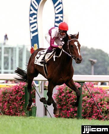 ◎スペシャルウィーク 日本ダービー・後続に…：時代を駆け抜けた名馬