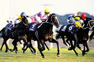 JRAホームページ｜データファイル｜競走成績データ