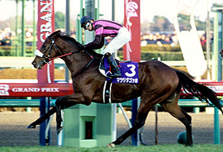 JRAホームページ｜データファイル｜競走成績データ