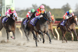 JRAホームページ｜データファイル｜競走成績データ