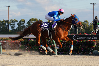 2023年 チャンピオンズカップ JRA