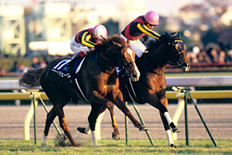 JRAホームページ｜データファイル｜競走成績データ