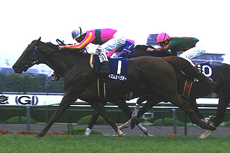 JRAホームページ｜データファイル｜競走成績データ