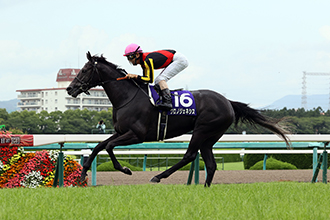 2020年 宝塚記念 JRA