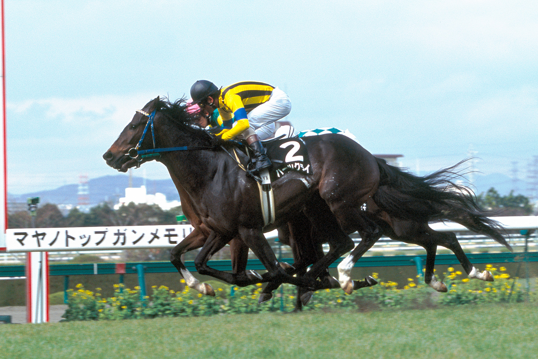 ハーツクライ｜3分でわかった気になる名馬 JRA