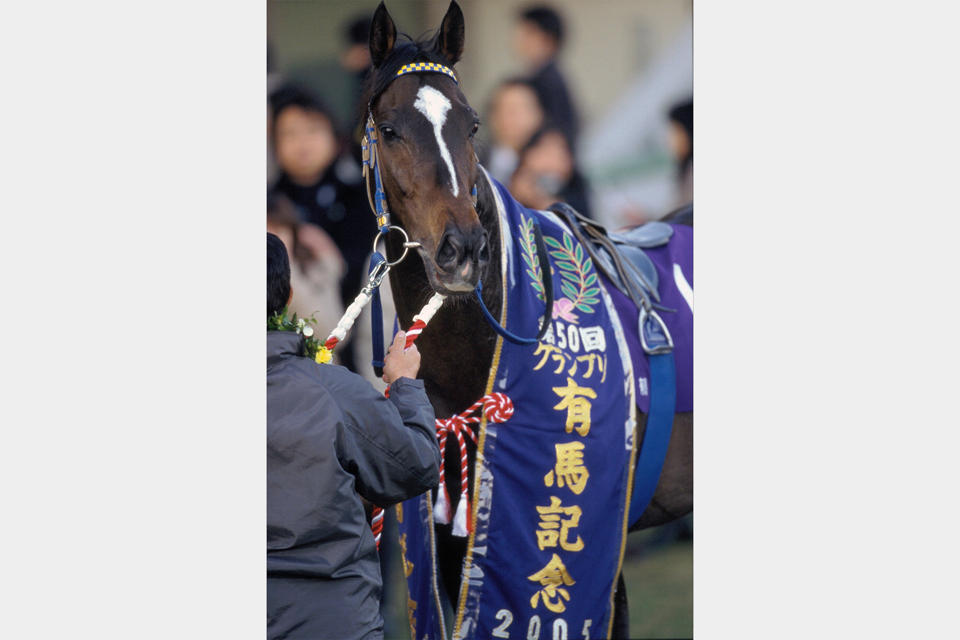 ハーツクライ｜3分でわかった気になる名馬 JRA