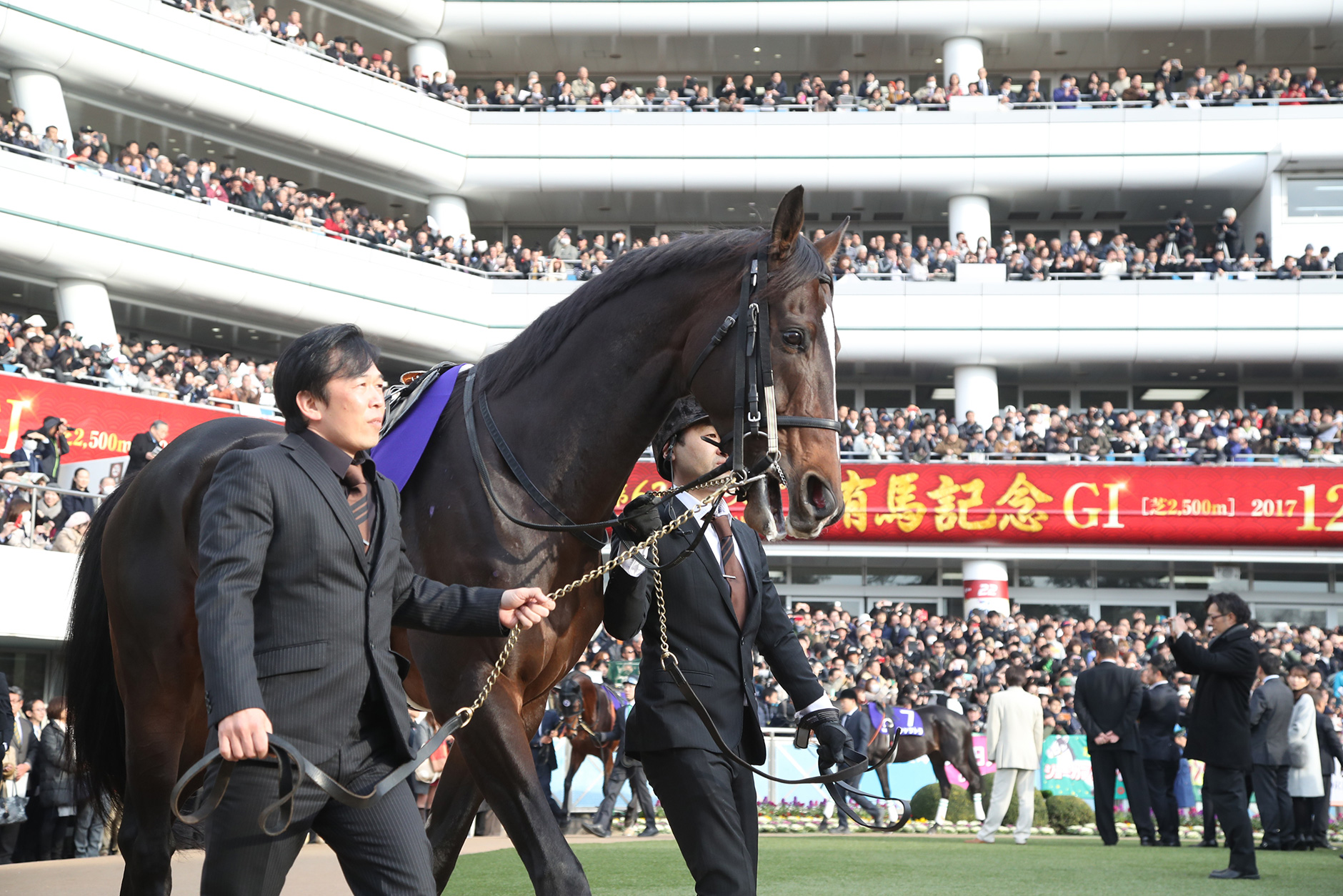 キタサンブラック｜3分でわかった気になる名馬 JRA