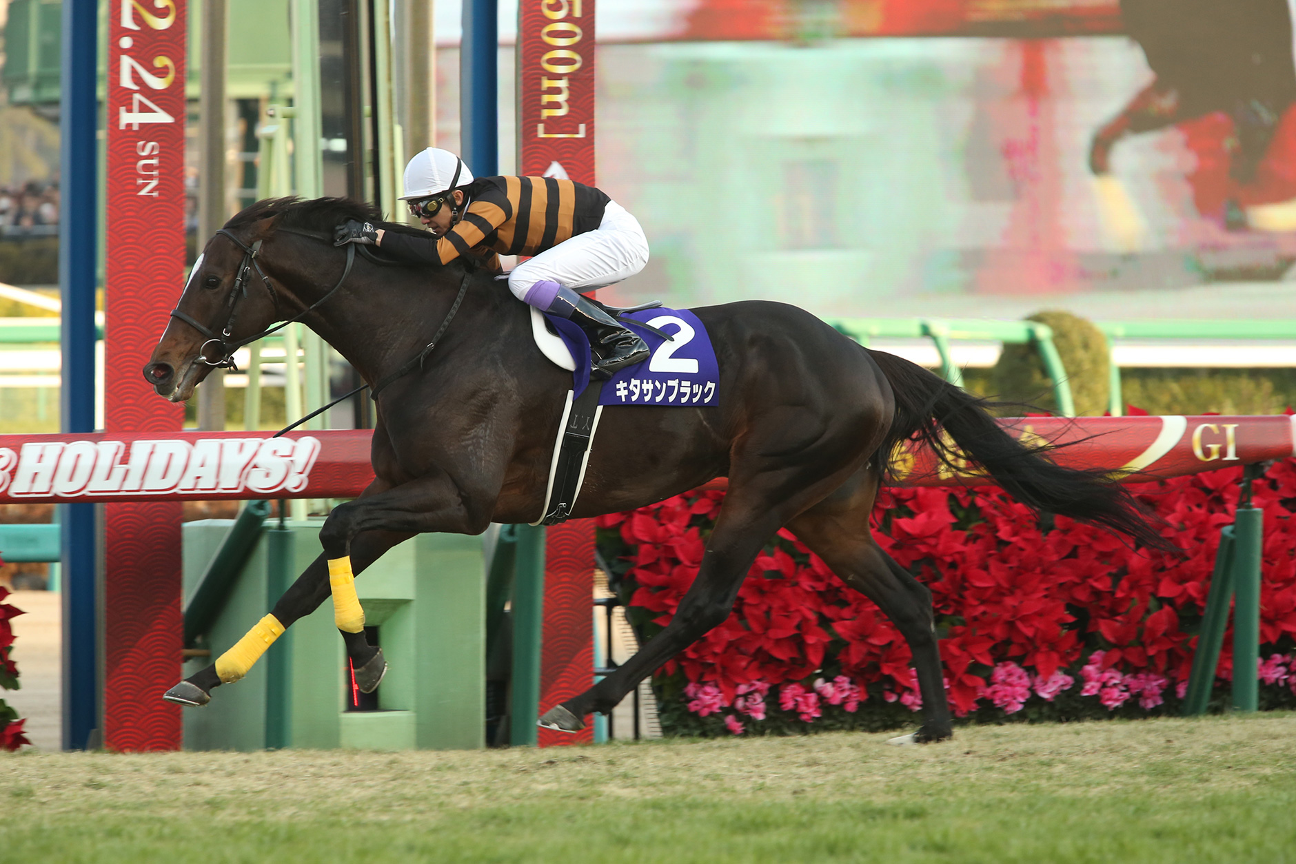 キタサンブラック｜3分でわかった気になる名馬 JRA