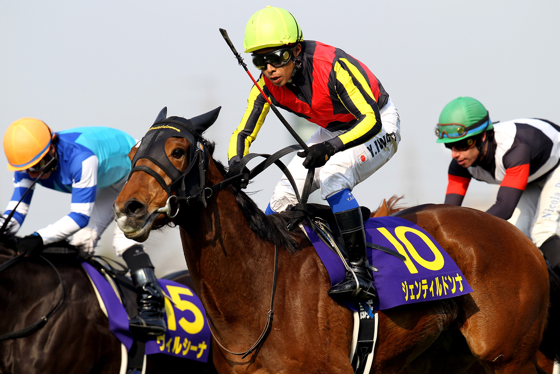 ジェンティルドンナ｜3分でわかった気になる名馬 JRA