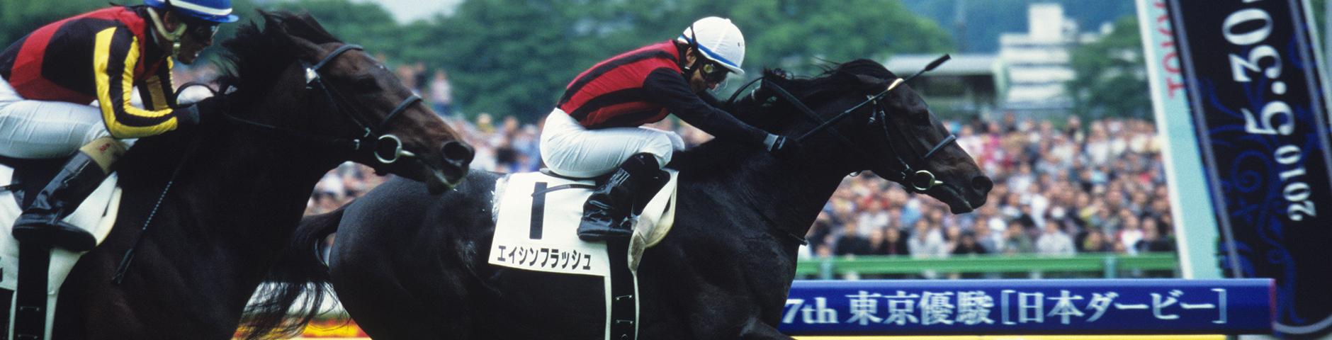 エイシンフラッシュ｜3分でわかった気になる名馬 JRA