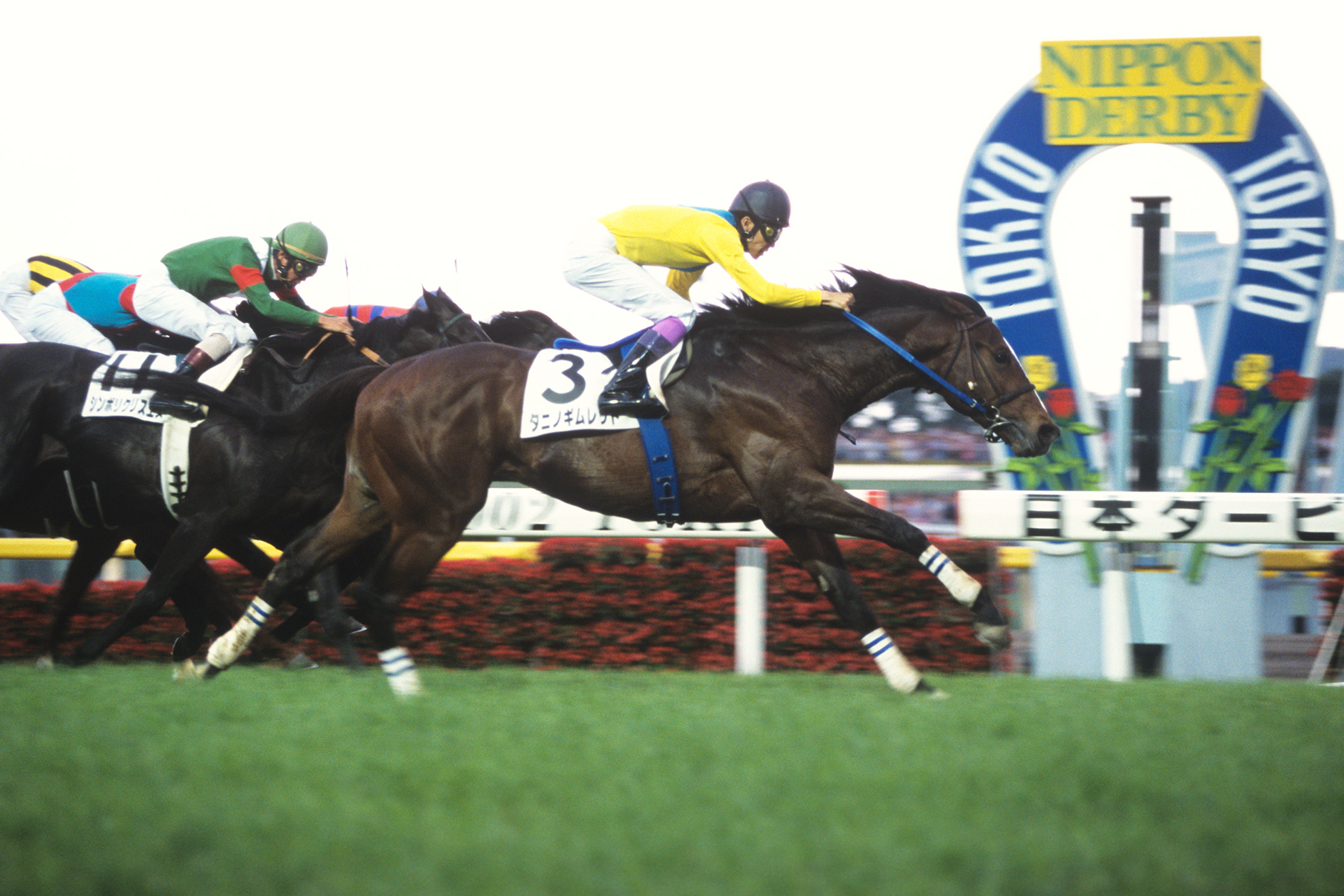 タニノギムレット｜3分でわかった気になる名馬 JRA