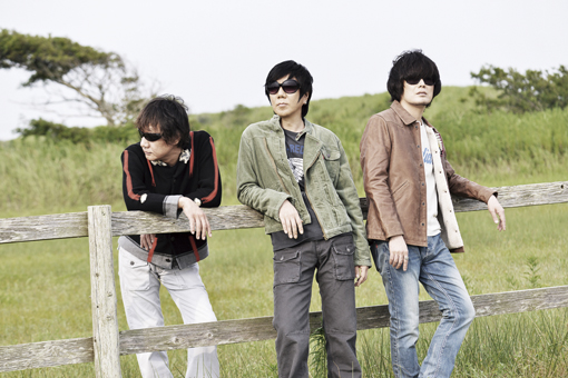 the pillows | JUNGLE☆LIFE