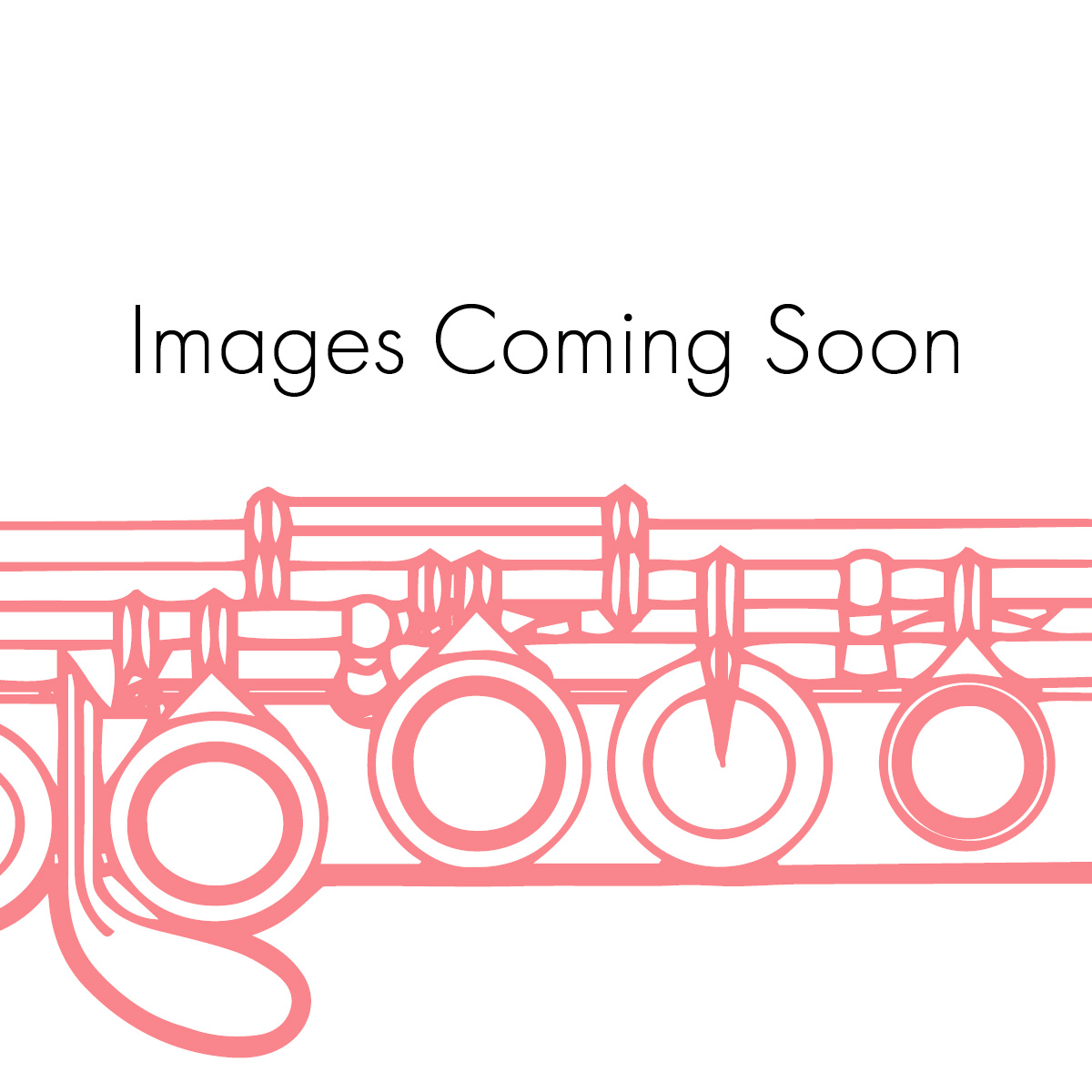 Vintage Rudall, Carte & Co Cocus Flute #80XX. Just Flutes, London