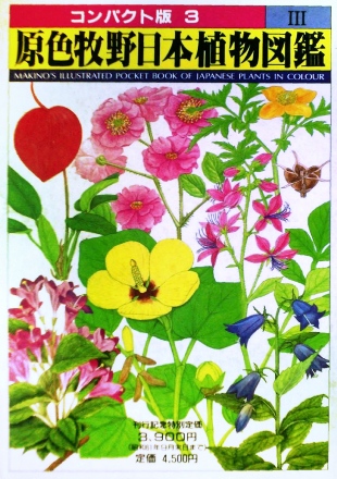 四季の山野草（ホテイアツモリソウ）