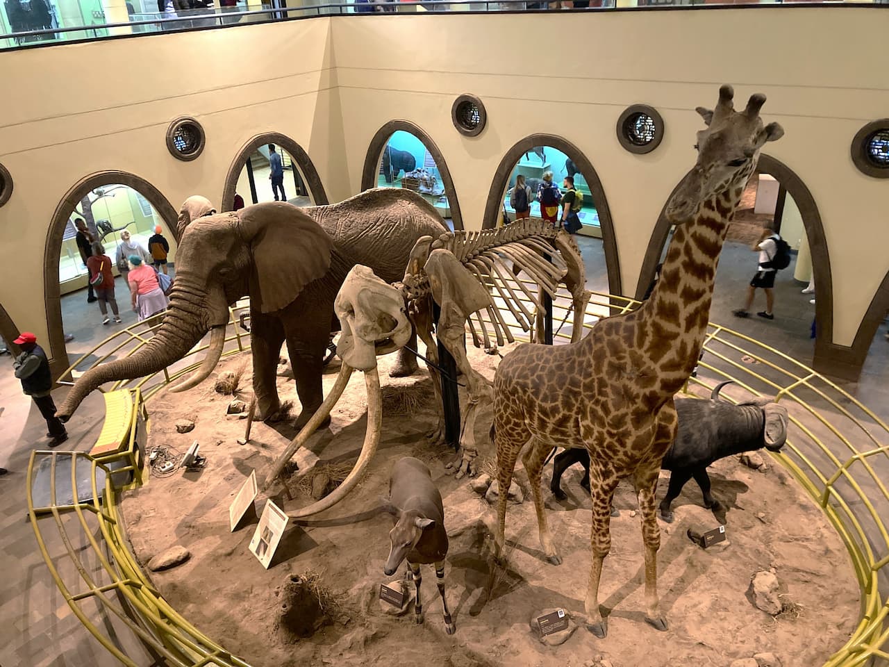 ケニア国立博物館でケニアを深く知ろう！｜Oooh パックツアーに頼ら