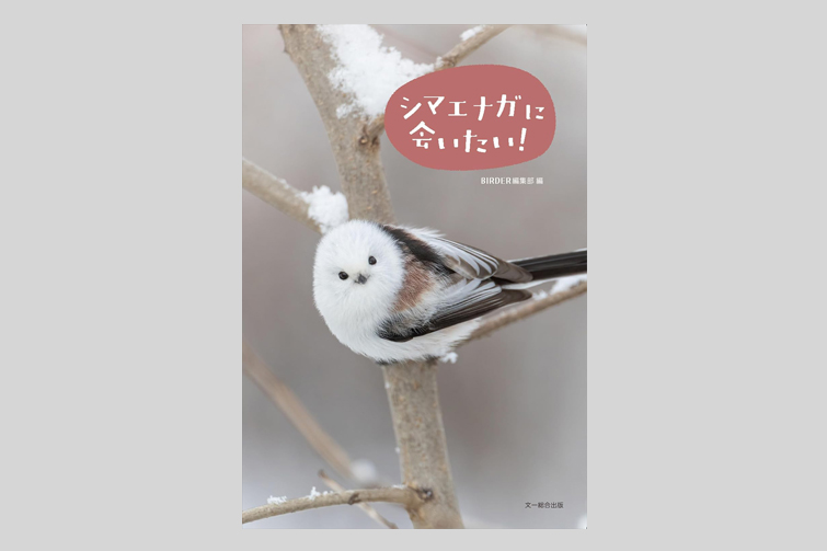 書籍「シマエナガに会いたい!」に掲載されました！ - 帯廣神社