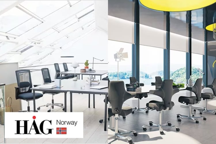 自由な姿勢で快適に座れる「ホーグ(HAG)Capisco」をレビュー