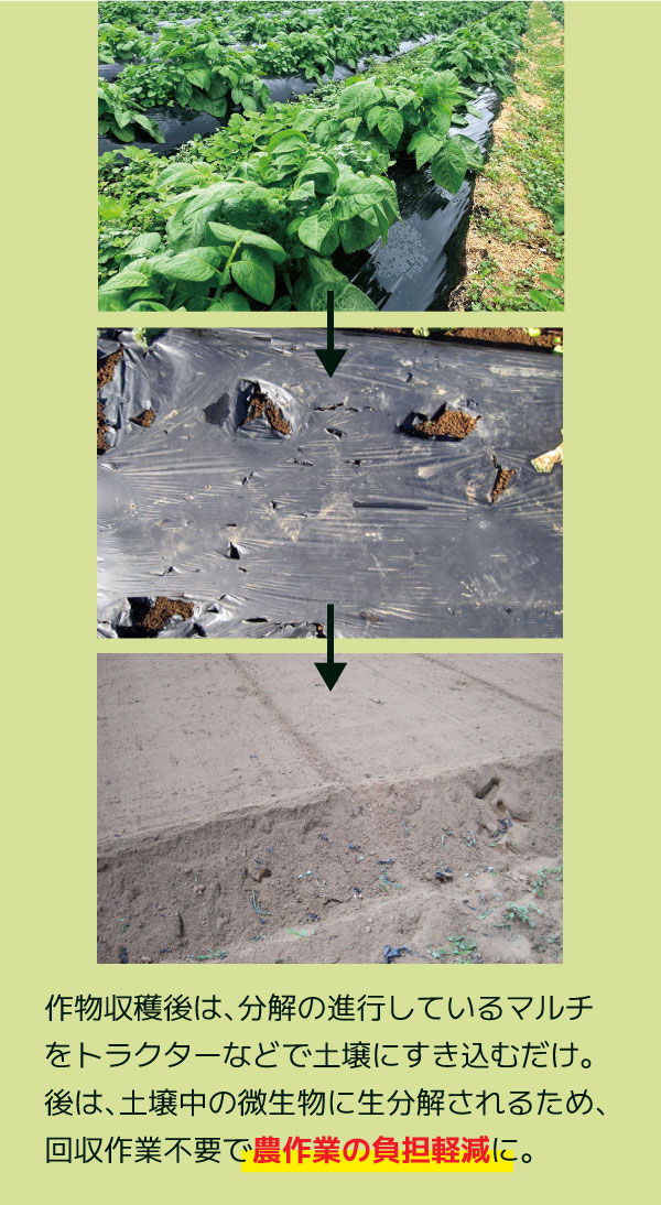 生分解マルチ【生分解性マルチシート比較一覧】2026年版 - 株式会社