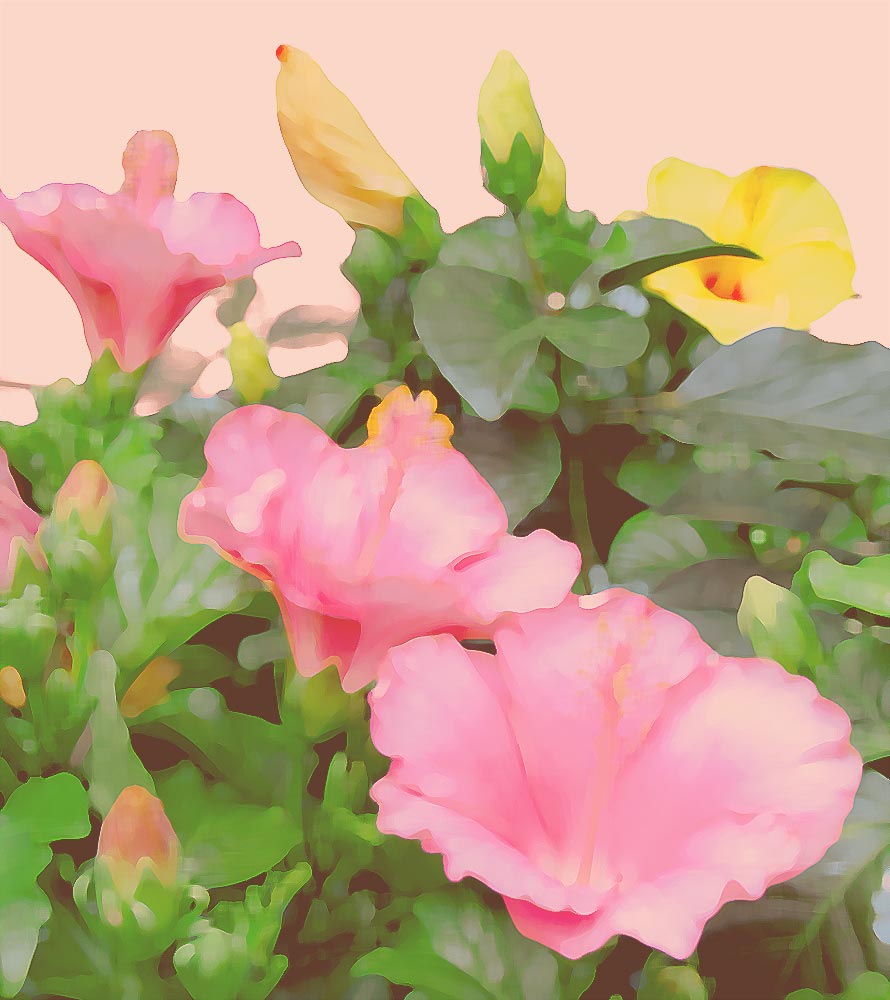 中川一政 薔薇 | 絵画など美術品の販売と買取 | 東京・銀座 おいだ美術