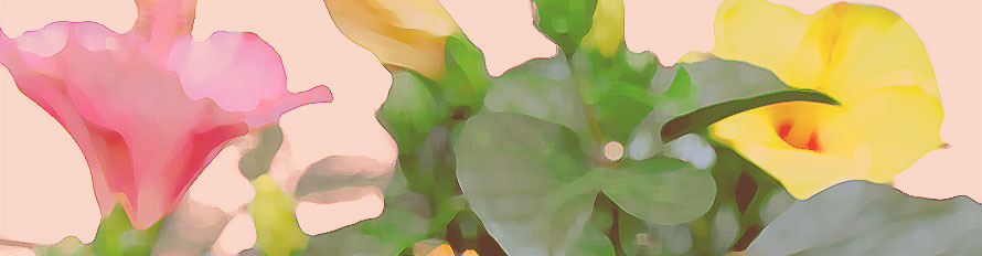 ベルナール・ビュッフェ アルバムサンフランシスコシリーズ#84 | 絵画