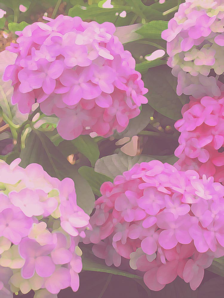 高塚省吾 裸婦（大） | 絵画など美術品の販売と買取 | 東京・銀座 おい