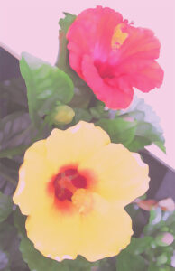 ヒロヤマガタ コンコルド広場の噴水 | 絵画など美術品の販売と買取