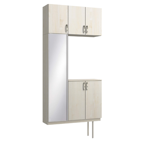 DAIKEN（大建工業） 玄関収納 ハピアプレミア 開き戸ユニット 銘木