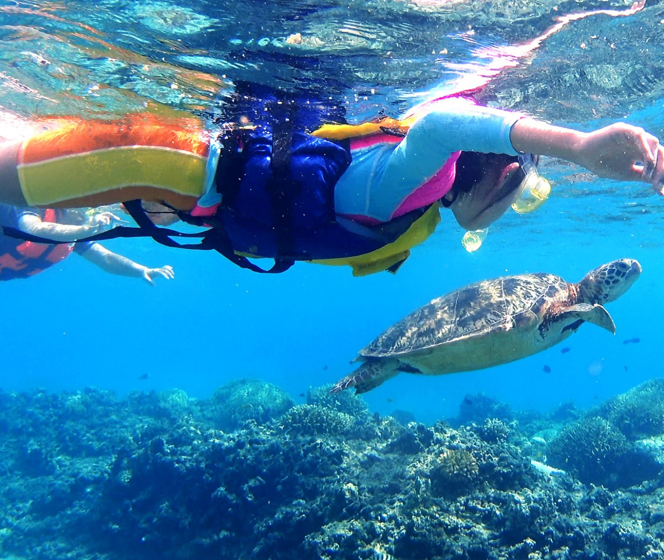 高速船orフェリーで行く！渡嘉敷島海水浴＆海がめシュノーケリング