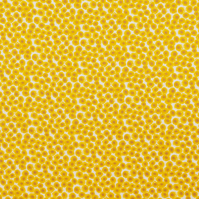 生地 LIBERTY FABRICS リバティ・ファブリックス タナローン