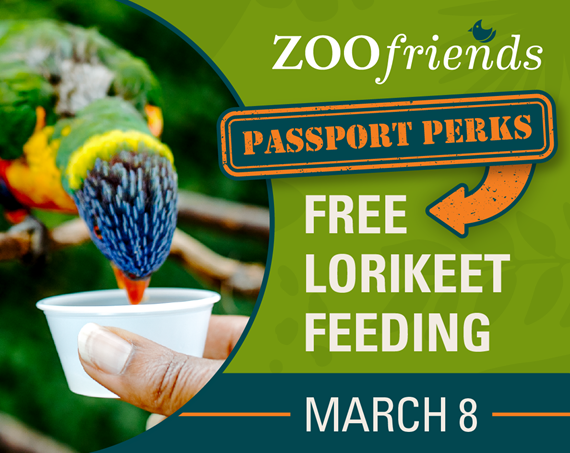 Oklahoma City Zoo: Find the Explorer in You