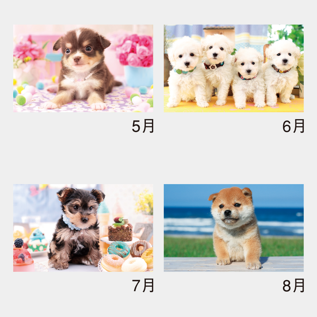 NK-454 サンキュー・ドッグ2026年版の名入れカレンダーを格安で販売