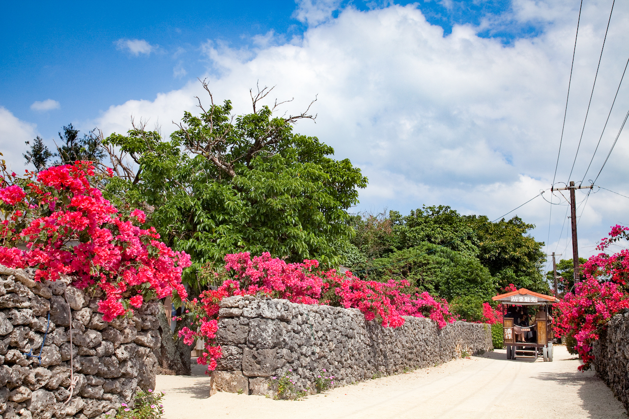 竹富島へ、沖縄の原風景を求めて｜八重山諸島めぐり – オリオンストーリー