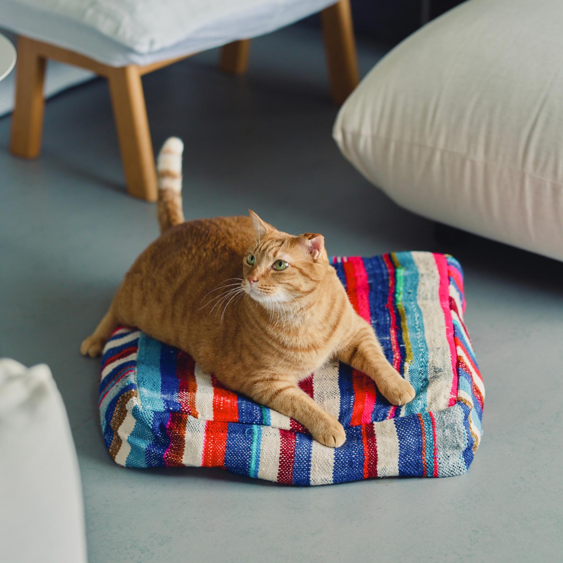 クッション｜オルネ ド フォイユ 公式オンラインショップ – Orné de