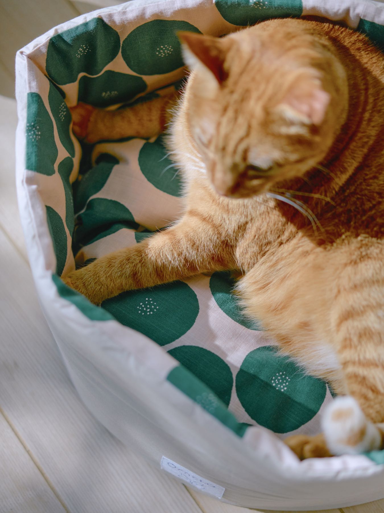 オルネコ・クッション付きラウンドベッド／あんパン｜オルネコ