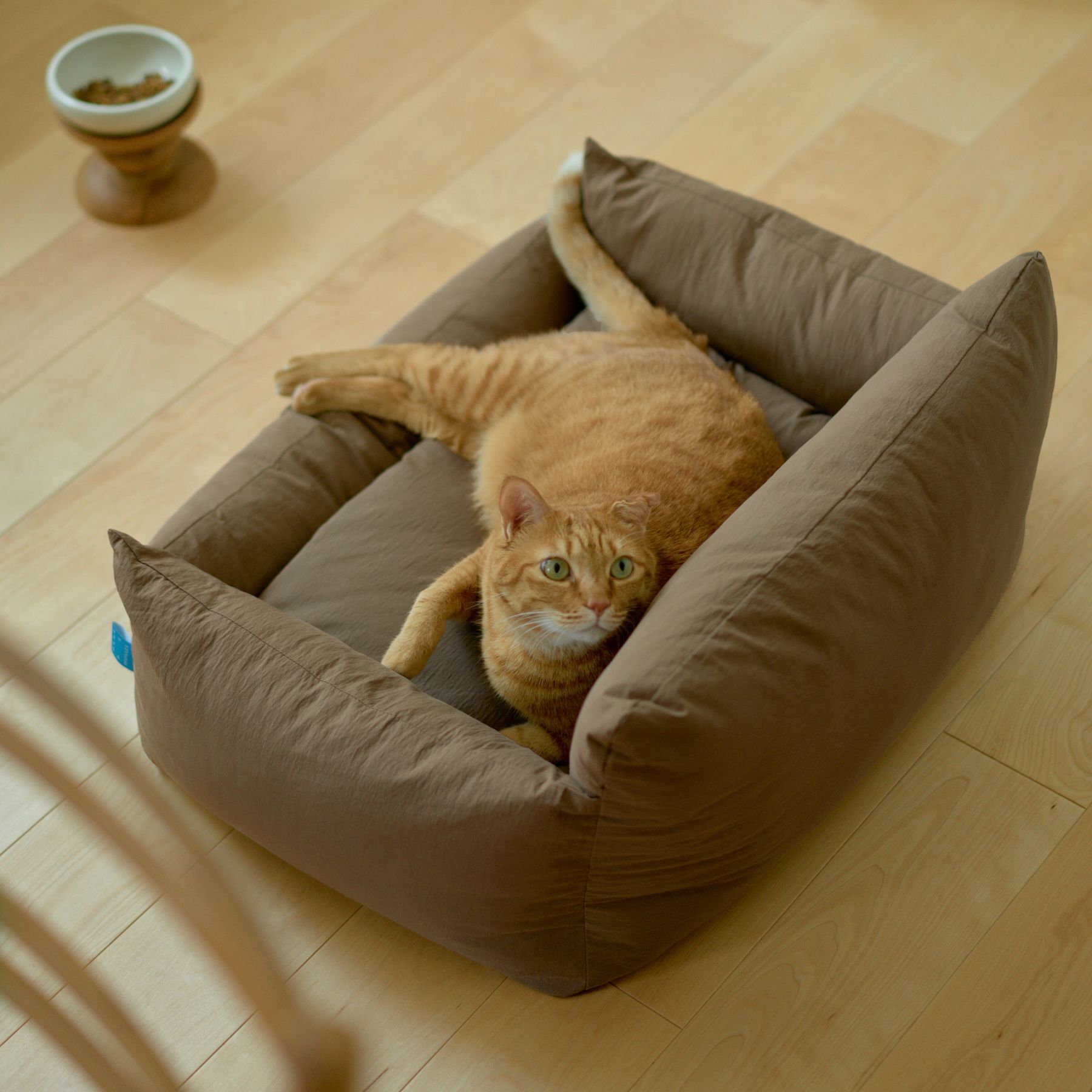 オリジナル・キャット&ドッグソファ｜フォイヌ（ベッド・クッション
