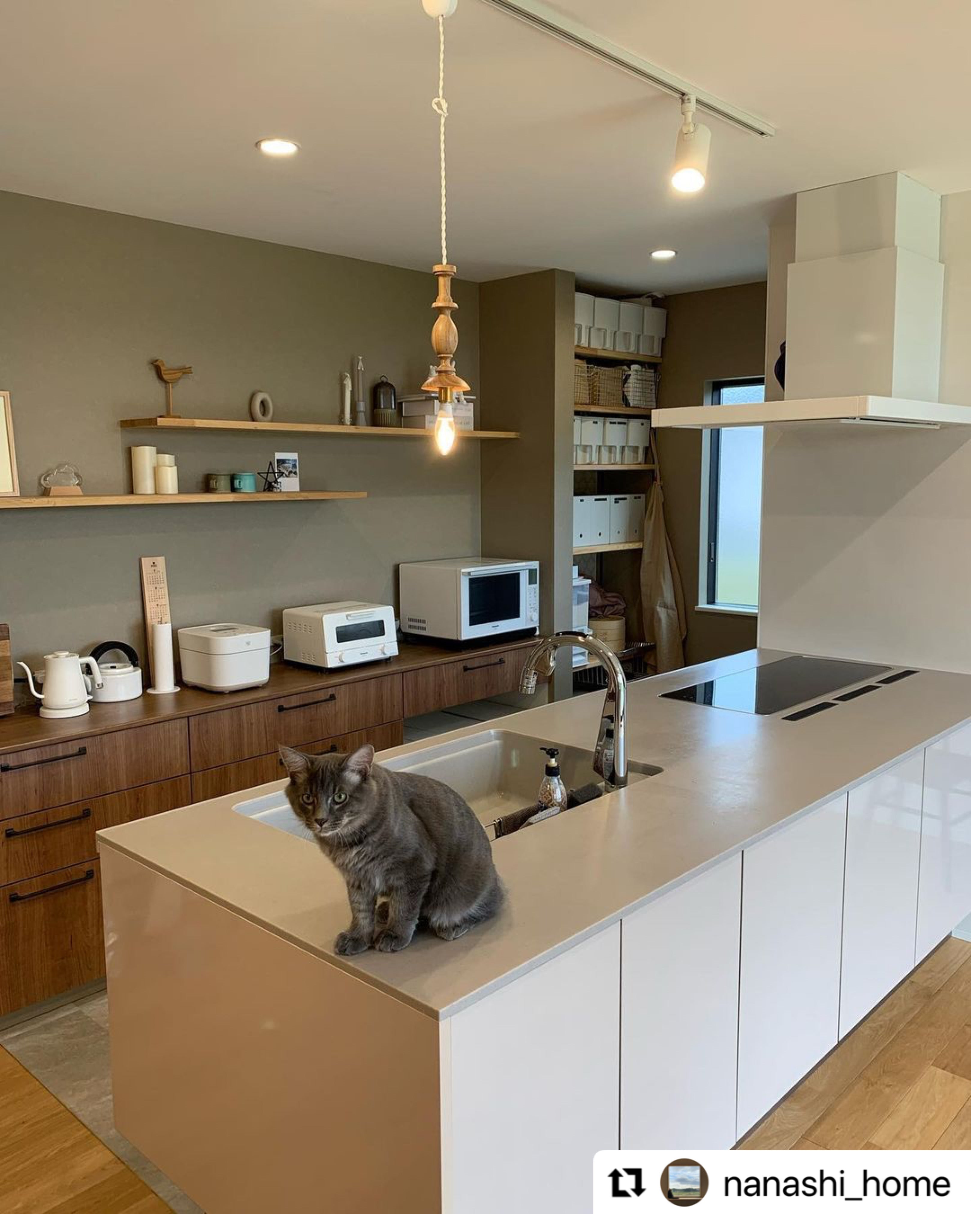 オリジナル・ウッドターニングランプ／ナチュラル｜ペンダントランプ