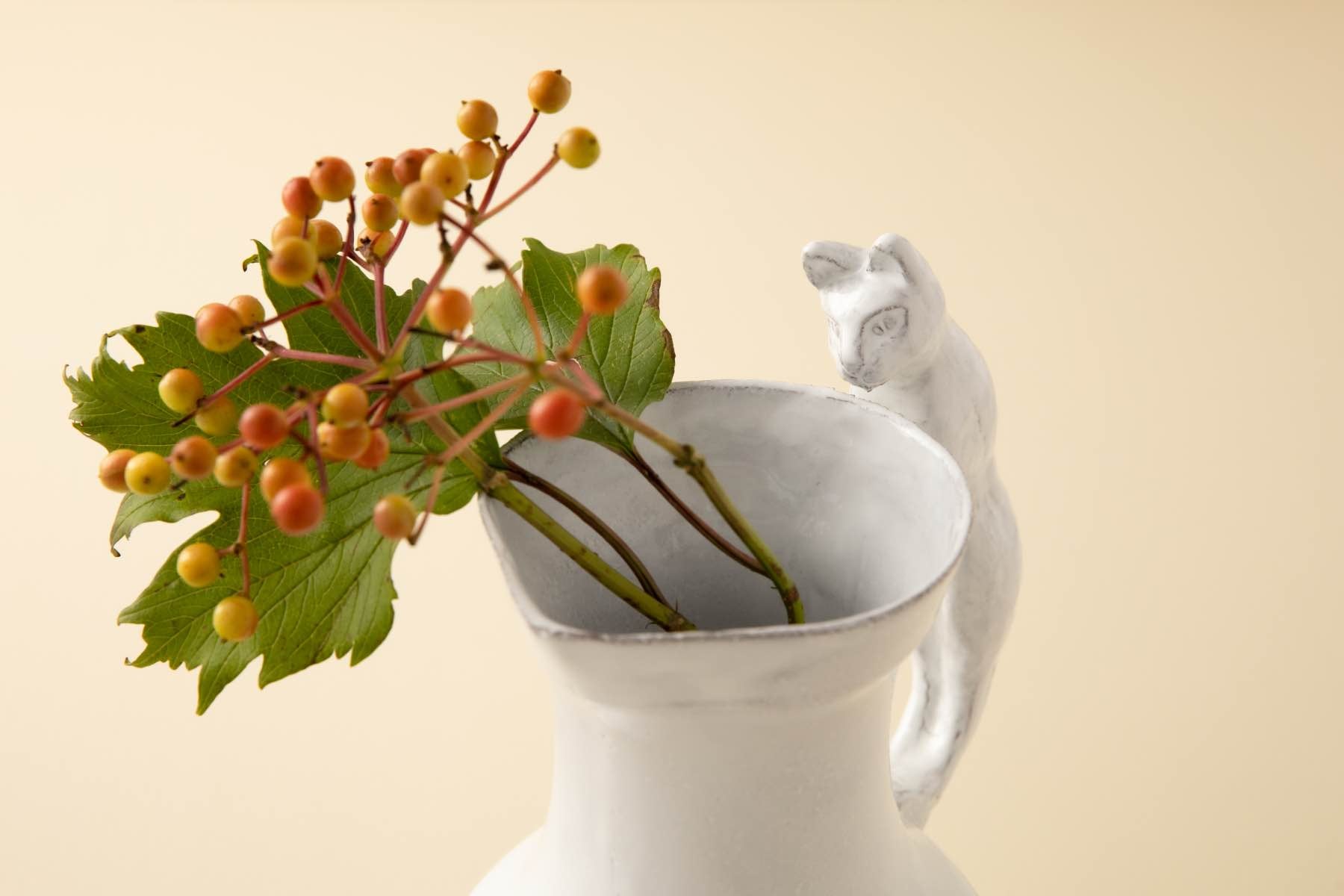 Astier de Villatte Setsuko／ピッチャー・ベース｜フラワーベース