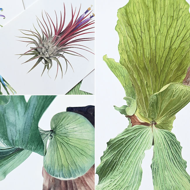 yomogi ボタニカルアート | ゼネラルストア オルネ