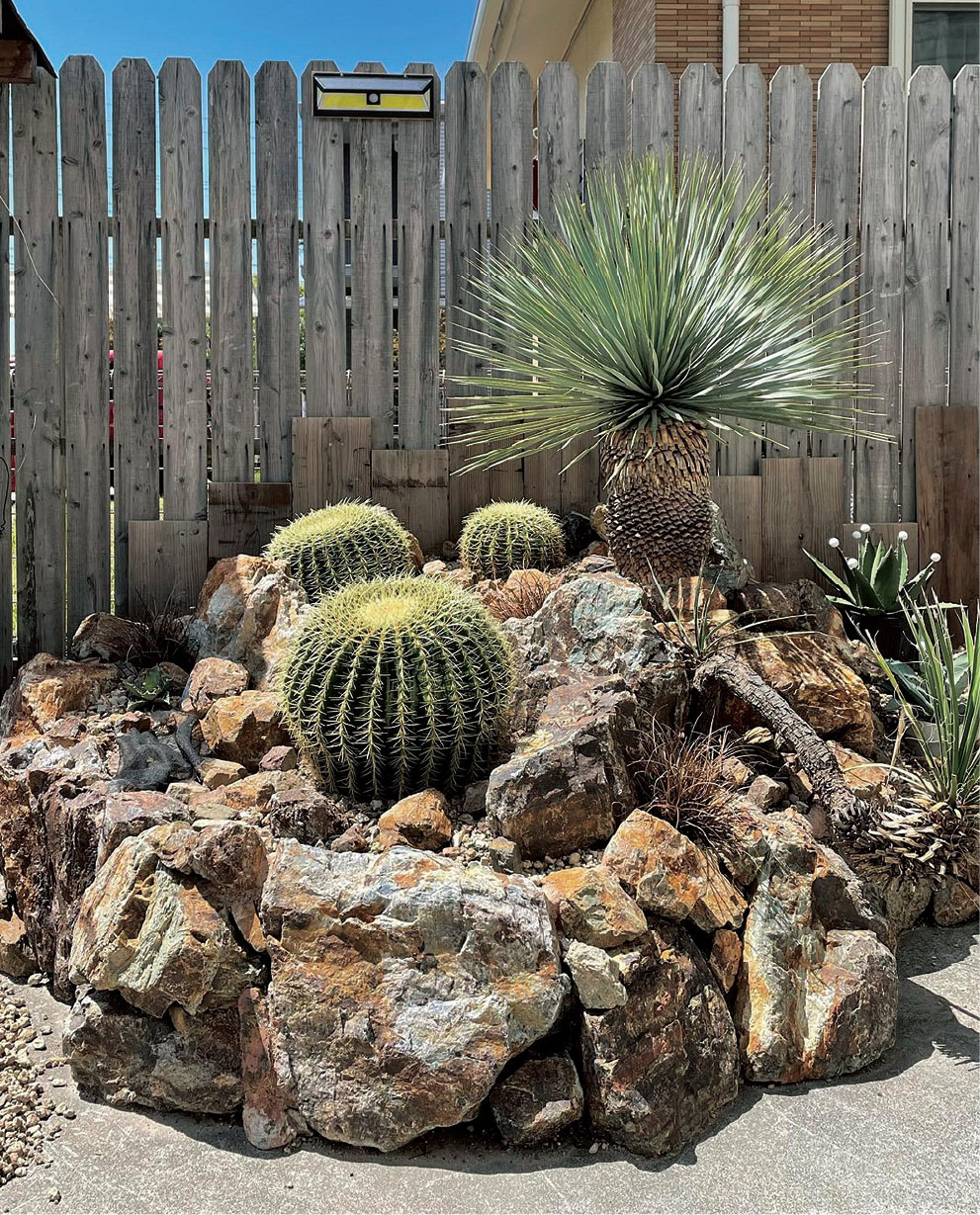 庭石・景石シリーズvol.2（ゲオム・ジュラ／チャート・ボルダー/ニュー