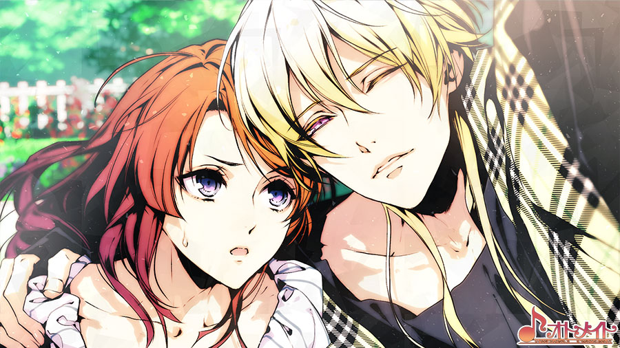 VARIABLE BARRICADE｜ギャラリー