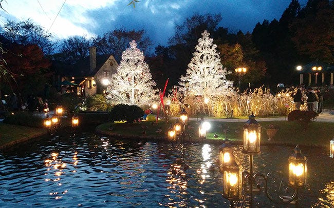 箱根ガラスの森美術館「クリスタル・イルミネーション」。クリスタル