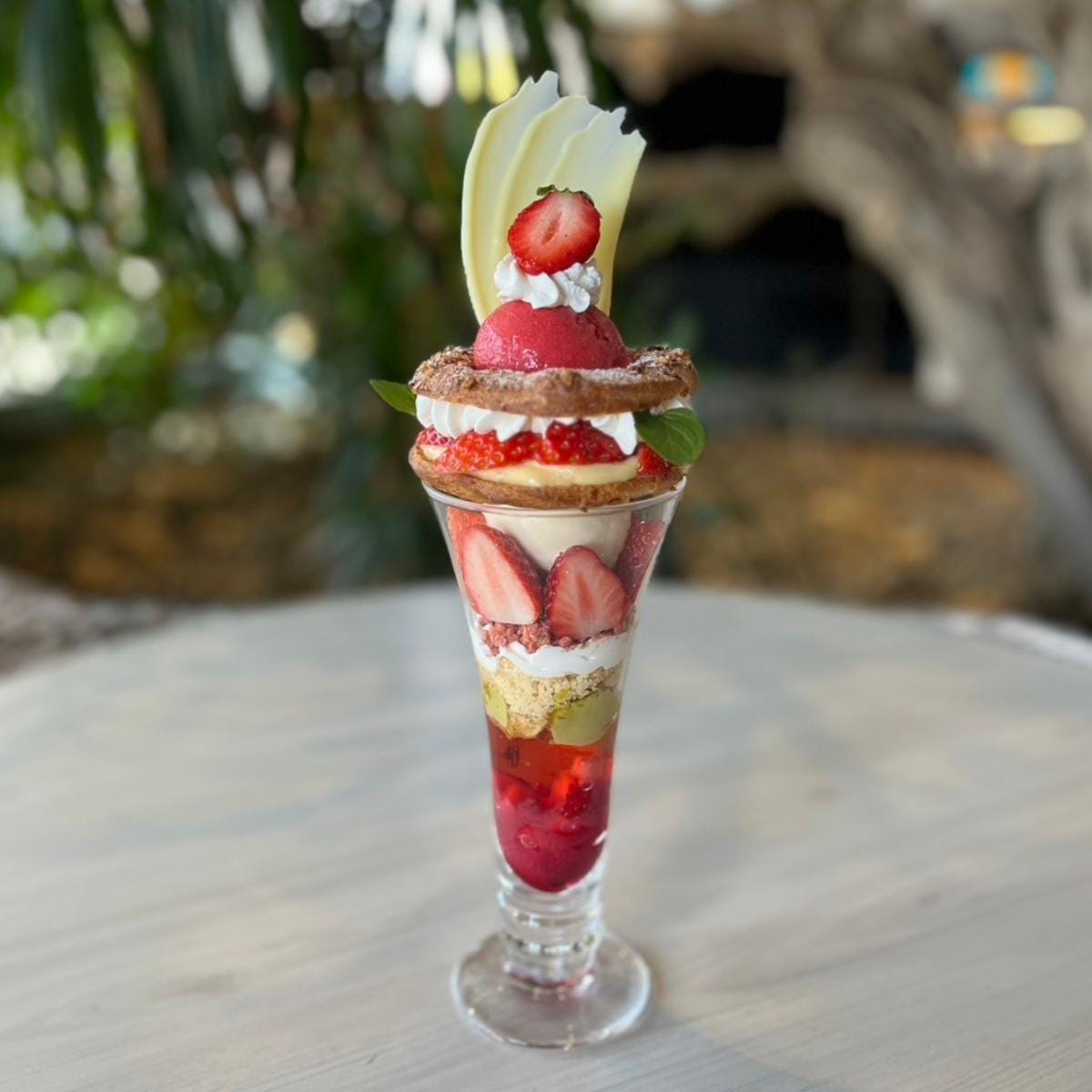 いちごパフェ図鑑】NEW LIGHTの「苺パリブレストパフェ」｜いちご特集