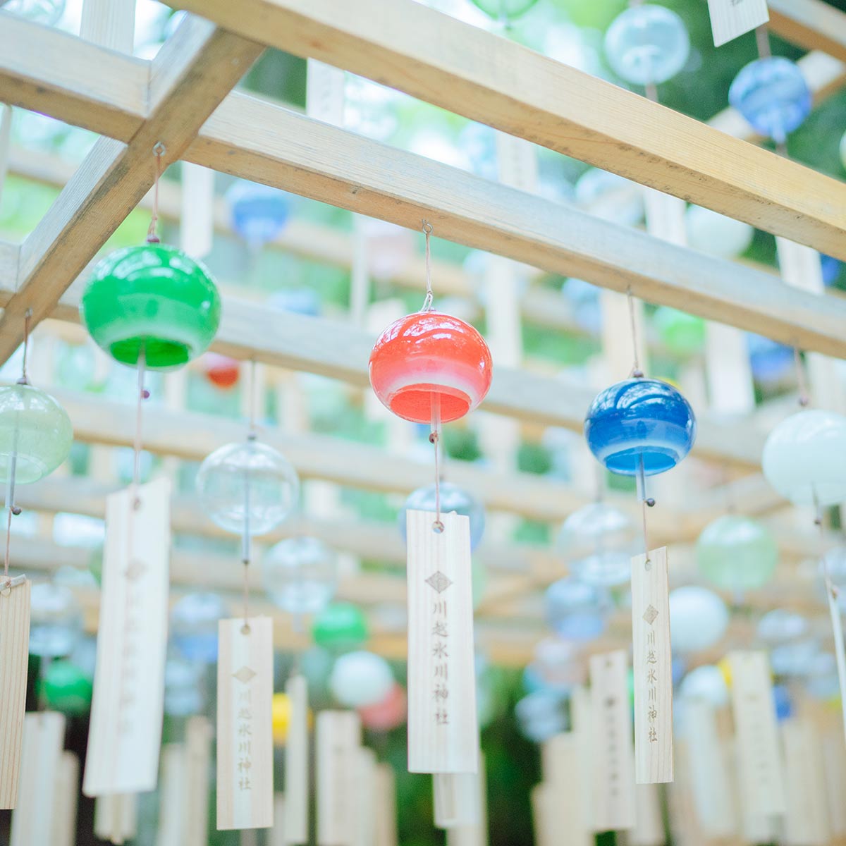 埼玉・川越氷川神社の「縁むすび風鈴2023」！境内を約1500個の江戸風鈴